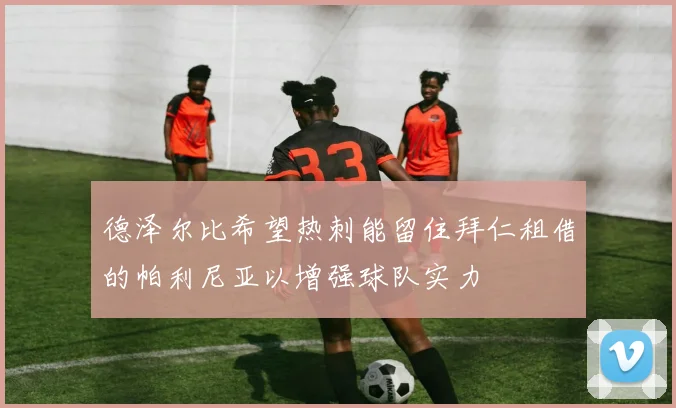 德泽尔比希望热刺能留住拜仁租借的帕利尼亚以增强球队实力